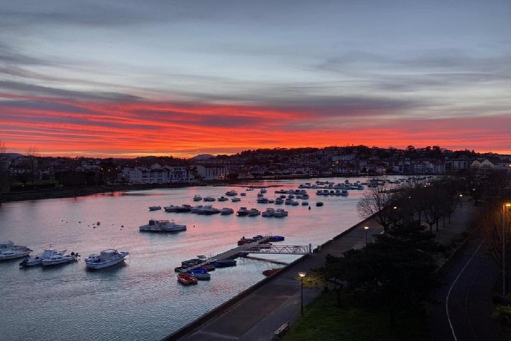 Nivelle Daire Saint-Jean-de-Luz Dış mekan fotoğraf
